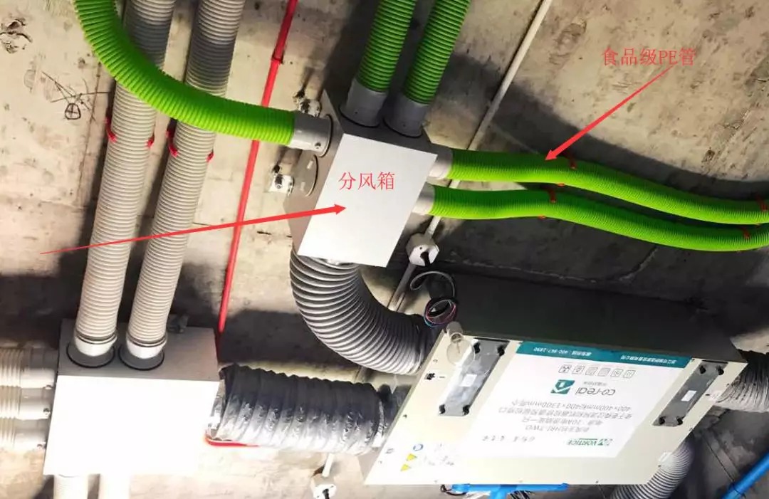 1603957560126784.jpg 640 (5).jpg